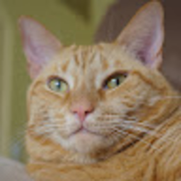 Meet your Posher, Gburia - Picture 1 of 1